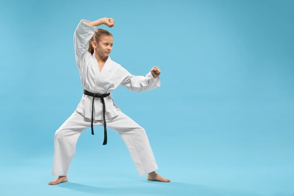 Karate 101