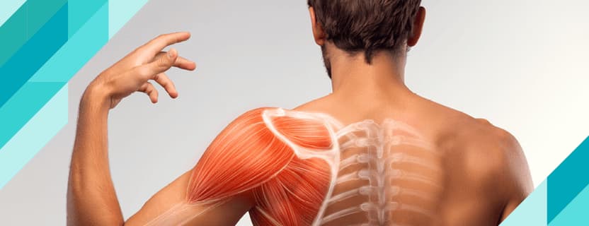 Hiperplazi ve Hipertrofi Nedir?