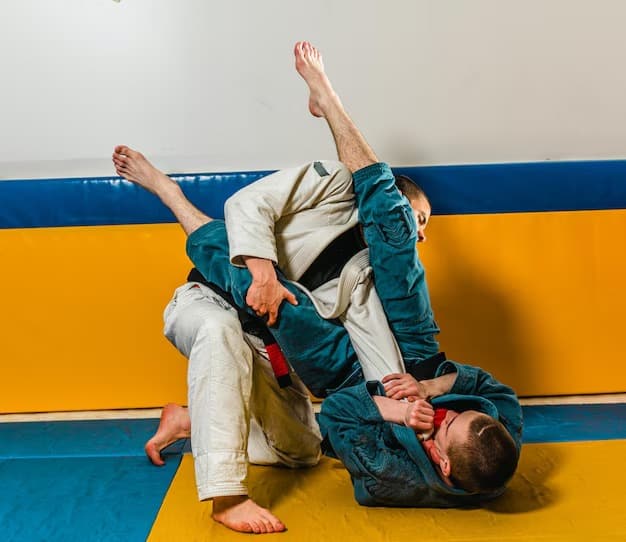 Jiu Jitsu Temel Teknikleri Nelerdir?